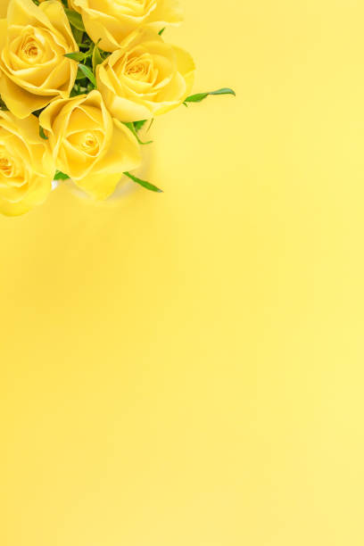 istock Fresh yellow roses bouquet 1127299533
