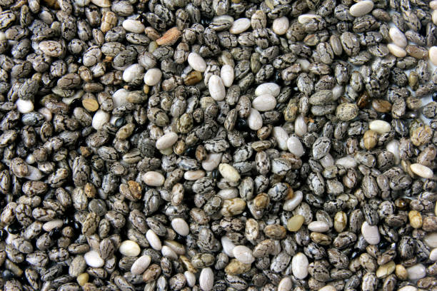istock isolated chia seeds forming background with their pattern of organization 1127300647