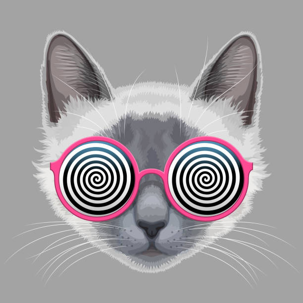 illustrations, cliparts, dessins animés et icônes de lunettes de visage et hypnotique de chat - hypnose