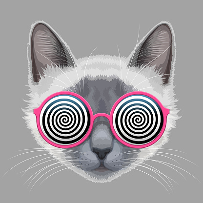 Cat face and glamorous eyeglasses with hypnotic spiral patterns instead of glasses