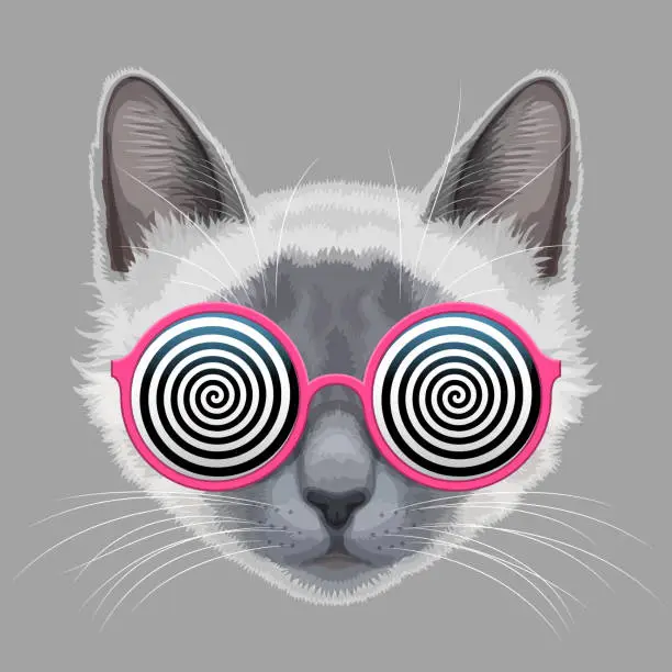 Vector illustration of Cat face and hypnotic eyeglasses