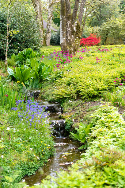 istock Garden in summer with water cascade 1127301259