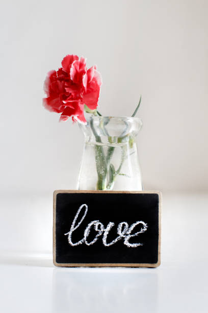 istock Carnation flower and a small chalkboard 1127311275