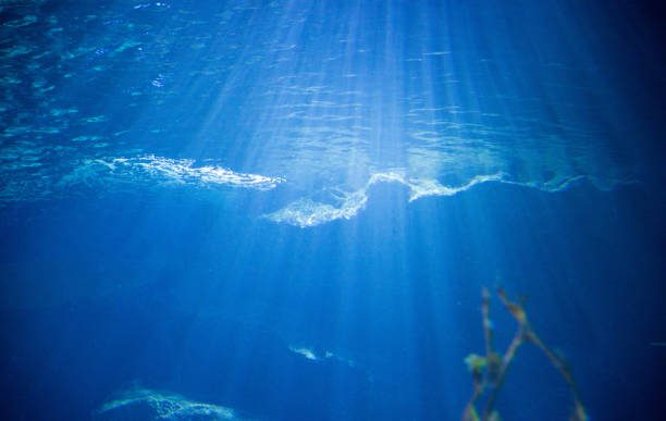 istock Underwater Blue Ocean with Perfect Sunlight Coming In 1127311474