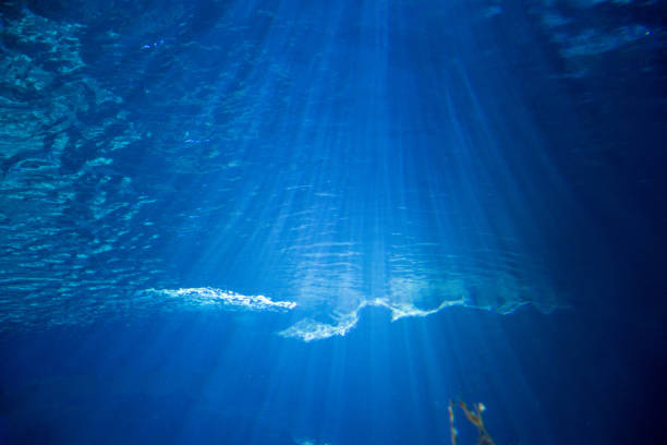 istock Underwater Blue Ocean with Perfect Sunlight Coming In 1127311519