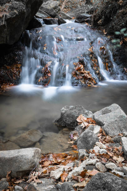 istock fall scenery in forest with flowing river waterfall in long exposure in selective colors 1127311747