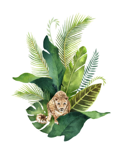 stockillustraties, clipart, cartoons en iconen met aquarel vector kaart tropische verlaat en luipaard geïsoleerd op een witte achtergrond. - watercolour jungle