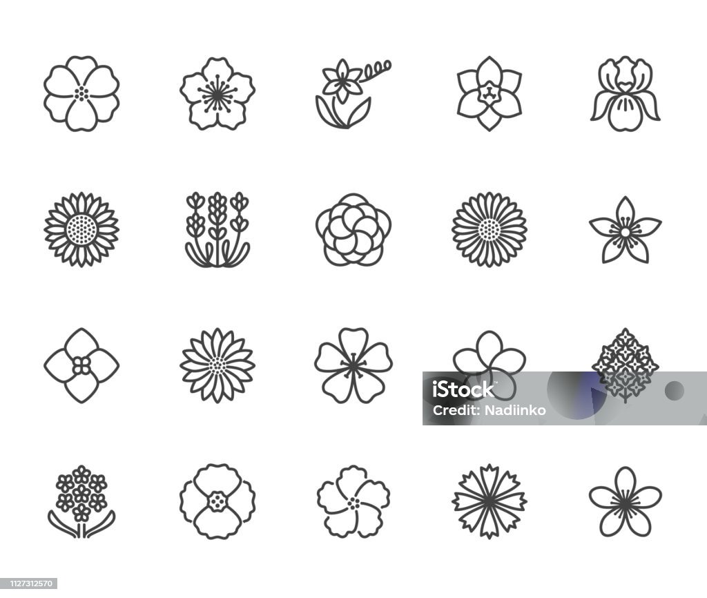 Flowers flat line icons. Beautiful garden plants - sunflower, poppy, cherry flower, lavender, gerbera, plumeria, hydrangea blossom. Thin signs for floral store. Pixel perfect 64x64 Editable Strokes Flowers flat line icons. Beautiful garden plants - sunflower, poppy, cherry flower, lavender, gerbera, plumeria, hydrangea blossom. Thin signs for floral store. Pixel perfect 64x64. Editable Strokes Icon Symbol stock vector