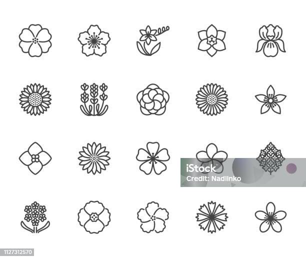 Flowers Flat Line Icons Beautiful Garden Plants Sunflower Poppy Cherry Flower Lavender Gerbera Plumeria Hydrangea Blossom Thin Signs For Floral Store Pixel Perfect 64x64 Editable Strokes Stock Illustration - Download Image Now