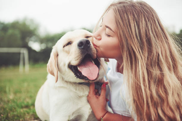 marco con una chica hermosa con un hermoso perro en un parque de pasto verde. - adult affectionate love animal fotografías e imágenes de stock