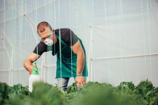 istock Farmer spraying plants on farm 1127314541