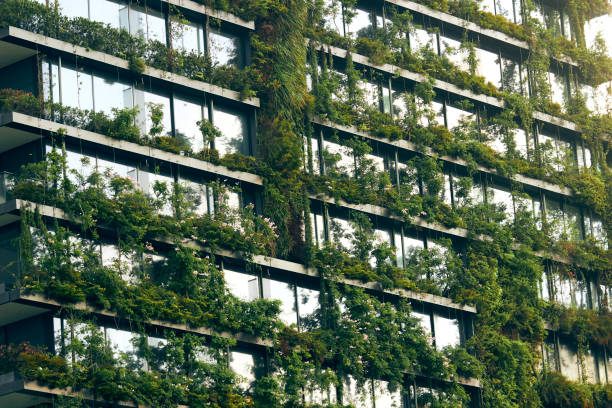 istock Colorful Building with Plants 2 1127315117