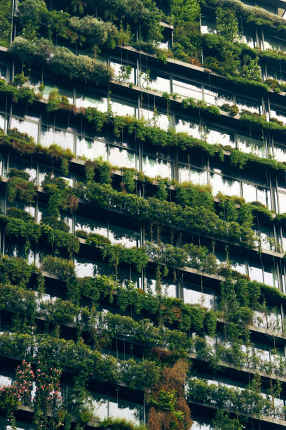 istock Colorful Building with Plants 1 1127315129