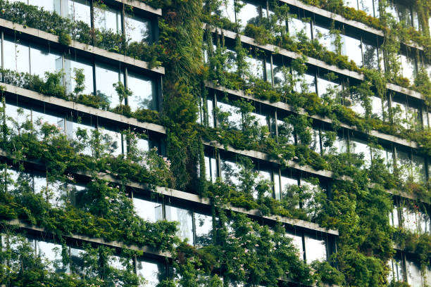 istock Colorful Building with Plants 4 1127315137