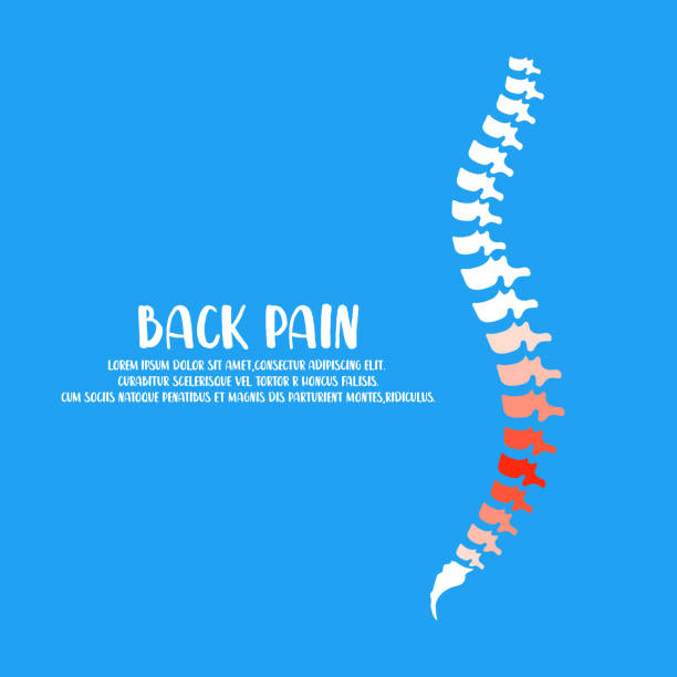 Spine Diagnostics Symbol Design. Spine Pain Illustration. Spine Diagnostics Symbol Design. Spine Pain Illustration. Vector. human neck illustrations stock illustrations