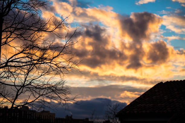 Dramatic sunset with trees in winter