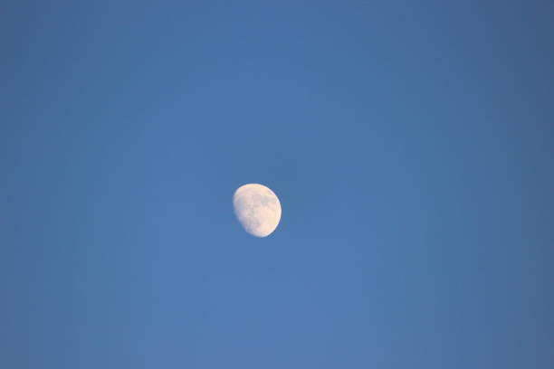 Moon during the day Half moon in the afternoon mondlicht stock pictures, royalty-free photos & images