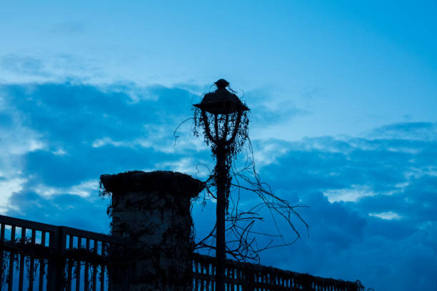 Contrast between dark blue sky and black silouhette of a street lamp