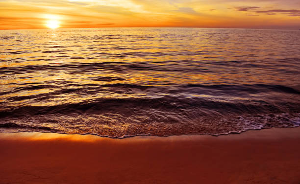istock Beautiful tropical beach at sunset 1127322557