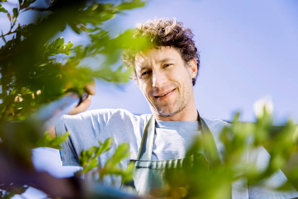 istock Mature man pruning plants in garden 1127322711