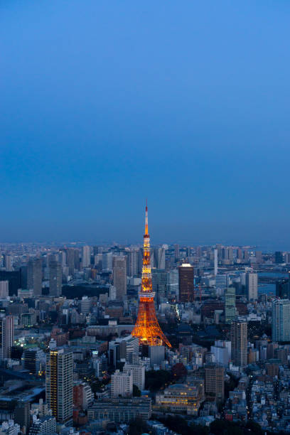 istock Tokyo night view and Tokyo tower 1127322798