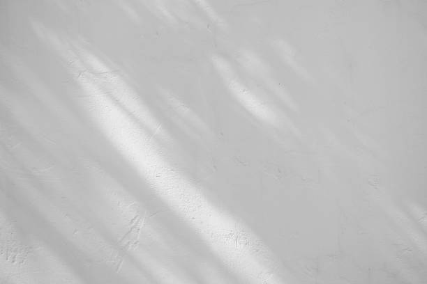 istock Black and White abstract background textuer of shadows leaf on a concrete wall 1127323039