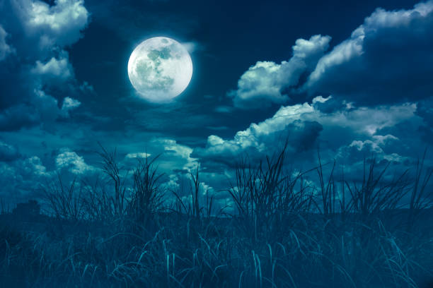 istock Bright full moon above wilderness area, serenity nature background. 1127324565