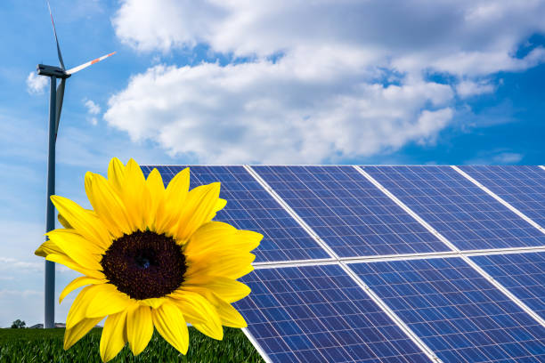 istock Solar Energy Wind Power in the sun 1127324998