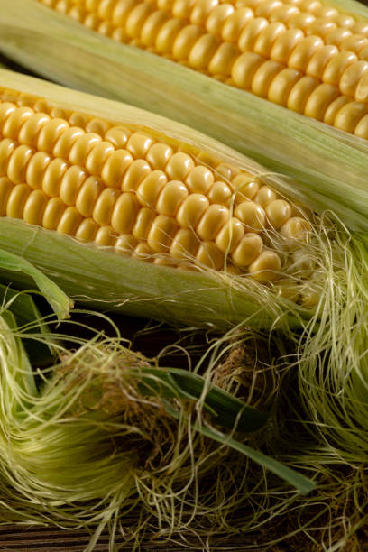 istock Fresh corn cob close-up, rich harvest 1127330250