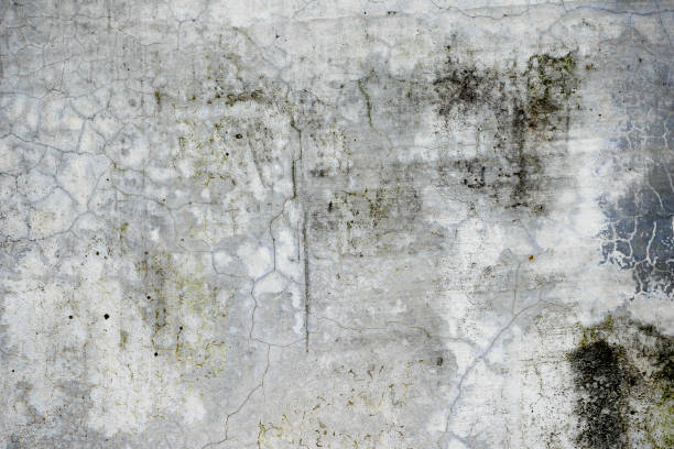 istock Old grunge abstract background texture dirty concrete wall 1127330395