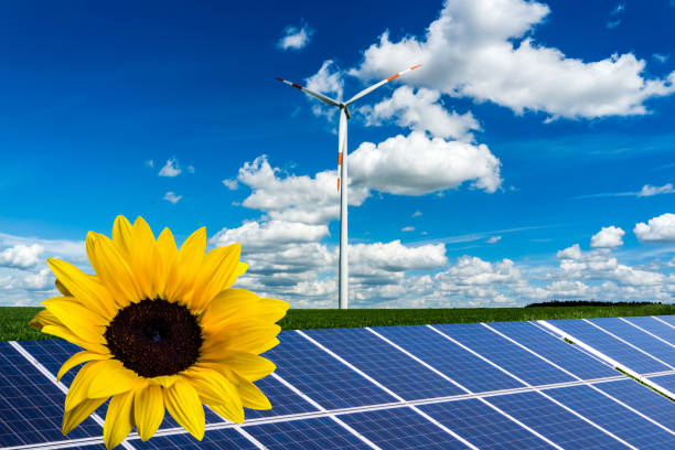 istock Solar Energy Wind Power in the sun 1127333205