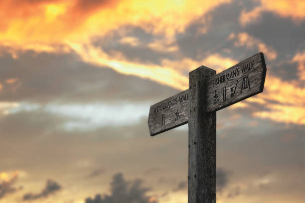 istock Wood Crossroads Sign 1127333568