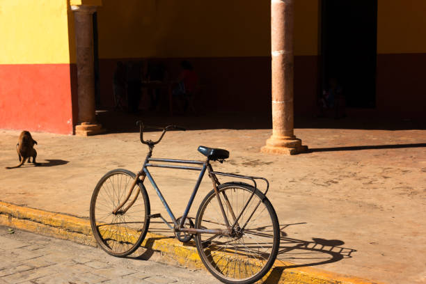 istock Mexico: Old Sunlit Black Bike and Dog 1127342241
