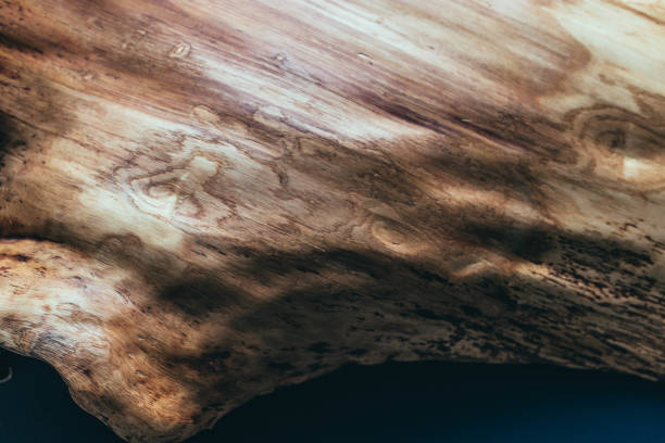 istock wooden decoration of a tree trunk in the interior. Solid oak wood 1127342313