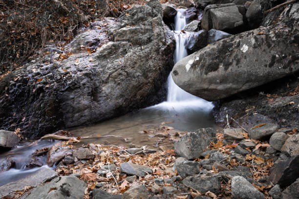 istock beautiful forest waterfall creek in long exposure in fall scenery 1127346777