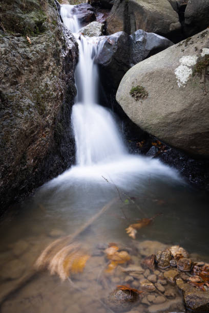 istock beautiful forest waterfall creek in long exposure in fall scenery 1127347865