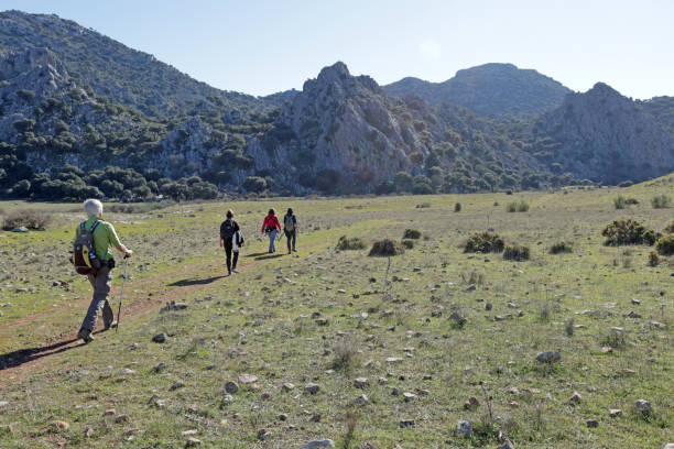 Hiking in Grazalema National Park Villaluenga del Rosaria, Andalucia, Spain - January 14, 2019: hikers in the Llanos del Republicano, part of the Grazalema Mountains National Park grazalema stock pictures, royalty-free photos & images