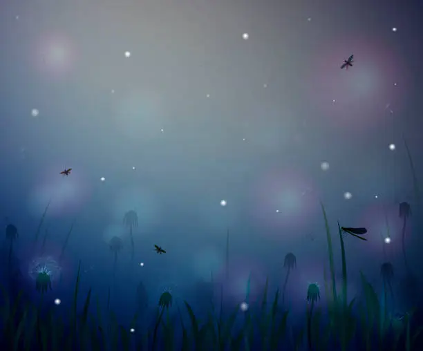 Vector illustration of summer night,  night summer field life, fireflight,  vector