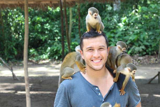 istock Titi monkeys with animal trainer 1127351601
