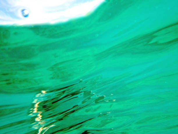 Background of looking up from water into sky
