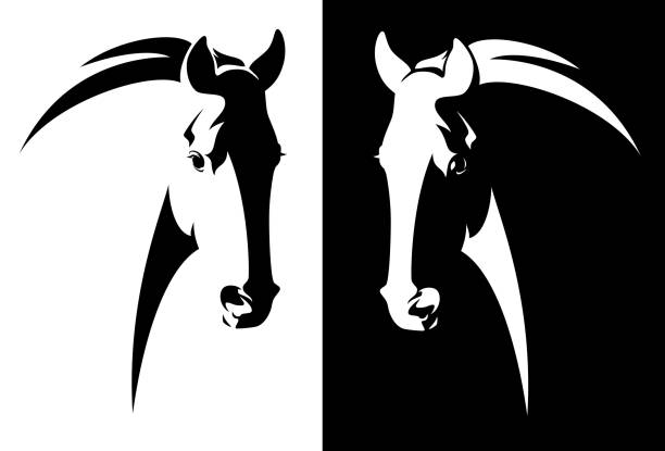 illustrations, cliparts, dessins animés et icônes de vecteur de tête de cheval noir et blanc - cheval
