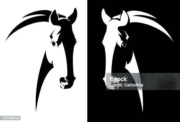 Black And White Horse Head Vector Stock Illustration - Download Image Now - Horse, Head, Black Color