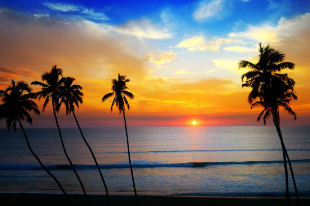 istock Delightful sunset over the ocean. 1127356729