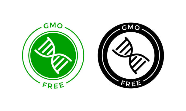 ilustraciones, imágenes clip art, dibujos animados e iconos de stock de símbolo libre de omg. vector verde logotipo de no gmo con muestra de adn para el diseño de paquete de alimentos saludables - non gmo