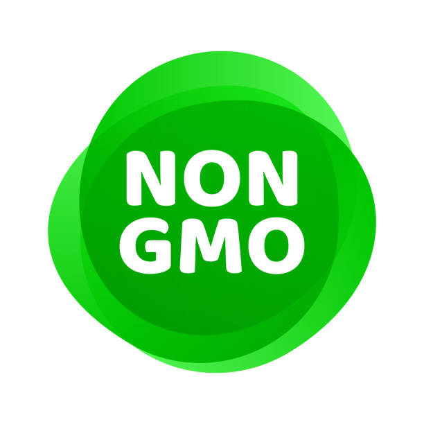 ikona bez gmo. wektor zielony gmo wolny znak logo dla zdrowej żywności projektowania opakowań. - non gmo stock illustrations