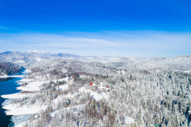 istock Winter landscape, lake and woods under snow 1127360743