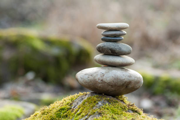 istock stone balance on rock covered by moss in the forest 1127361025