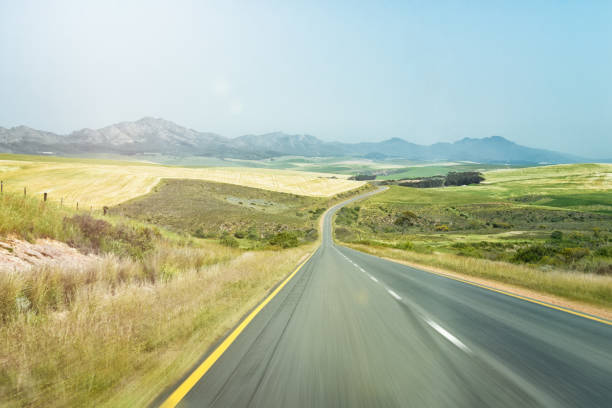 strada curva sulla strada del giardino a western cape, sudafrica - south africa road cape town the garden route foto e immagini stock