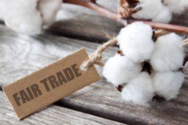 cotone idrofilo ed etichetta fair trade su sfondo legno - cotton plant dry branch foto e immagini stock