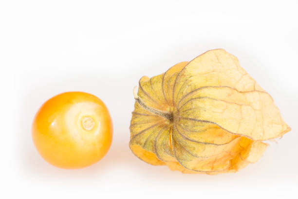 golden berry, cape gooseberry on white background - physalis peruviana - gooseberry winter cherry uchuva isolated imagens e fotografias de stock